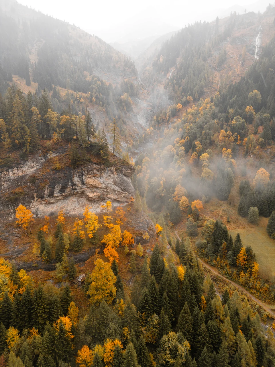 Mist among golden larches and steep mountainsides