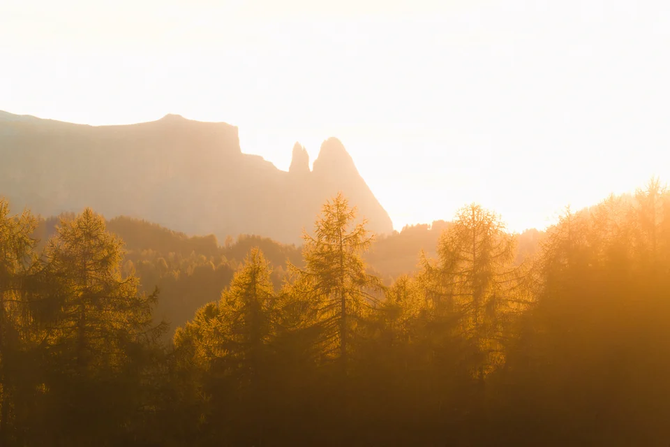 Golden light in autumn larches below rocky peaks